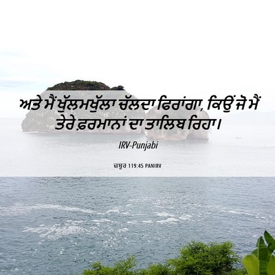 Picture 06 - ਜ਼ਬੂਰ 119:45 PANIRV - ਅਤੇ ਮੈਂ - Bible Verse Picture