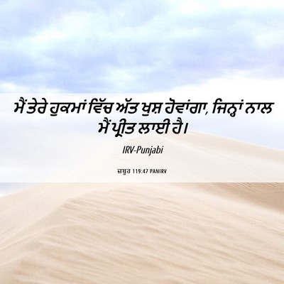 Picture 06 - ਜ਼ਬੂਰ 119:47 PANIRV - ਮੈਂ ਤੇਰੇ ਹੁਕਮਾਂ - Bible Verse Picture