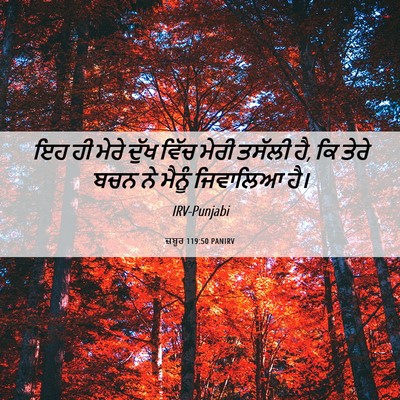 Picture 06 - ਜ਼ਬੂਰ 119:50 PANIRV - ਇਹ ਹੀ ਮੇਰੇ ਦੁੱਖ - Bible Verse Picture