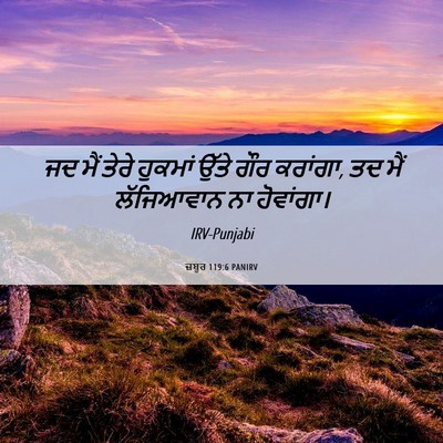 Picture 06 - ਜ਼ਬੂਰ 119:6 PANIRV - ਜਦ ਮੈਂ ਤੇਰੇ ਹੁਕਮਾਂ - Bible Verse Picture