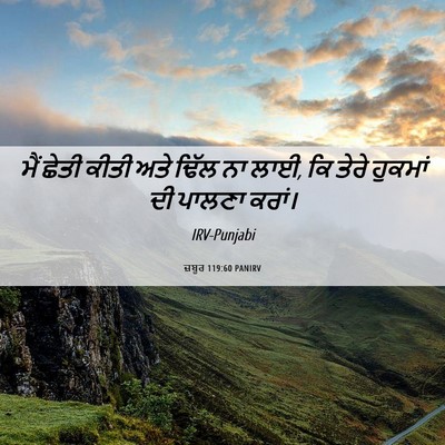 Picture 06 - ਜ਼ਬੂਰ 119:60 PANIRV - ਮੈਂ ਛੇਤੀ ਕੀਤੀ ਅਤੇ - Bible Verse Picture