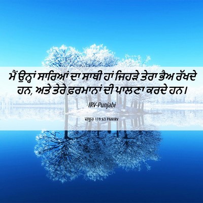 Picture 06 - ਜ਼ਬੂਰ 119:63 PANIRV - ਮੈਂ ਉਨ੍ਹਾਂ ਸਾਰਿਆਂ - Bible Verse Picture