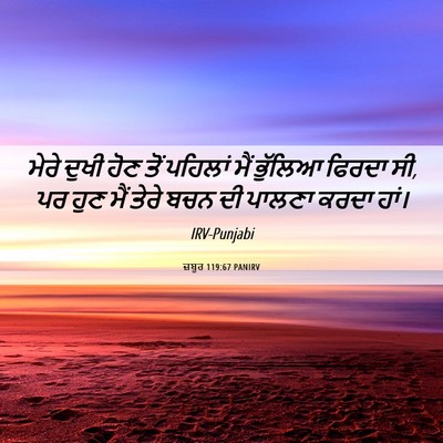 Picture 06 - ਜ਼ਬੂਰ 119:67 PANIRV - ਮੇਰੇ ਦੁਖੀ ਹੋਣ ਤੋਂ - Bible Verse Picture