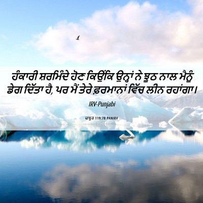 Picture 06 - ਜ਼ਬੂਰ 119:78 PANIRV - ਹੰਕਾਰੀ ਸ਼ਰਮਿੰਦੇ - Bible Verse Picture