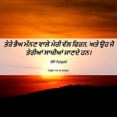Picture 06 - ਜ਼ਬੂਰ 119:79 PANIRV - ਤੇਰੇ ਭੈਅ ਮੰਨਣ ਵਾਲੇ - Bible Verse Picture