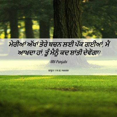 Picture 06 - ਜ਼ਬੂਰ 119:82 PANIRV - ਮੇਰੀਆਂ ਅੱਖਾਂ ਤੇਰੇ - Bible Verse Picture