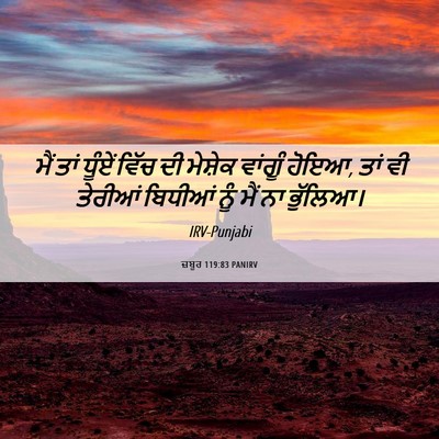 Picture 06 - ਜ਼ਬੂਰ 119:83 PANIRV - ਮੈਂ ਤਾਂ ਧੂੰਏਂ ਵਿੱਚ - Bible Verse Picture