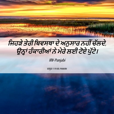 Picture 06 - ਜ਼ਬੂਰ 119:85 PANIRV - ਜਿਹੜੇ ਤੇਰੀ ਬਿਵਸਥਾ - Bible Verse Picture