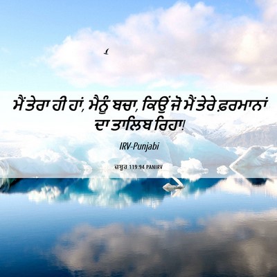 Picture 06 - ਜ਼ਬੂਰ 119:94 PANIRV - ਮੈਂ ਤੇਰਾ ਹੀ ਹਾਂ, - Bible Verse Picture