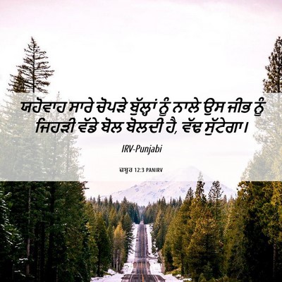 Picture 06 - ਜ਼ਬੂਰ 12:3 PANIRV - ਯਹੋਵਾਹ ਸਾਰੇ ਚੋਪੜੇ - Bible Verse Picture