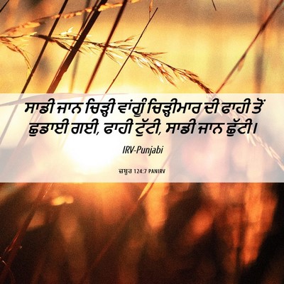 Picture 06 - ਜ਼ਬੂਰ 124:7 PANIRV - ਸਾਡੀ ਜਾਨ ਚਿੜ੍ਹੀ - Bible Verse Picture