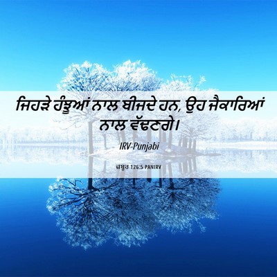 Picture 06 - ਜ਼ਬੂਰ 126:5 PANIRV - ਜਿਹੜੇ ਹੰਝੂਆਂ ਨਾਲ - Bible Verse Picture