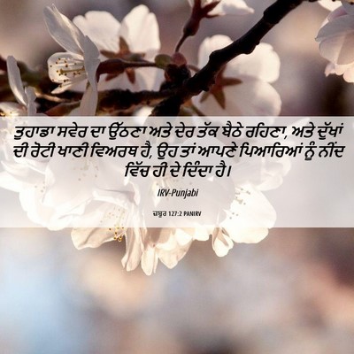 Picture 06 - ਜ਼ਬੂਰ 127:2 PANIRV - ਤੁਹਾਡਾ ਸਵੇਰ ਦਾ - Bible Verse Picture