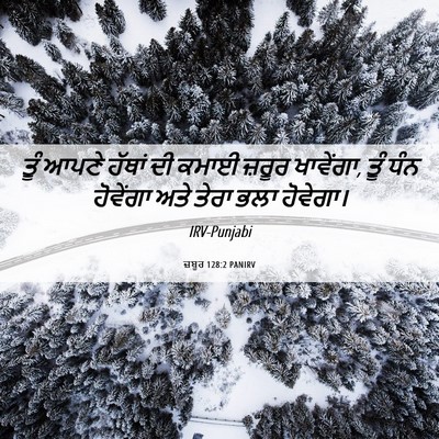 Picture 06 - ਜ਼ਬੂਰ 128:2 PANIRV - ਤੂੰ ਆਪਣੇ ਹੱਥਾਂ ਦੀ - Bible Verse Picture