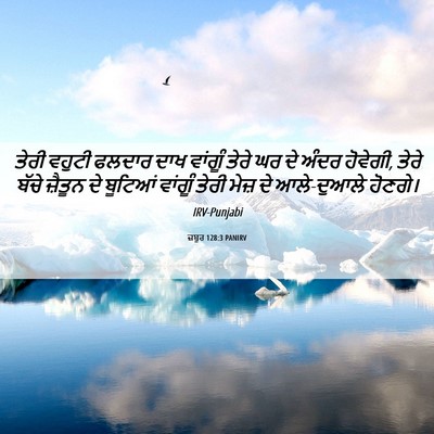 Picture 06 - ਜ਼ਬੂਰ 128:3 PANIRV - ਤੇਰੀ ਵਹੁਟੀ ਫਲਦਾਰ - Bible Verse Picture