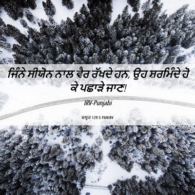 Picture 06 - ਜ਼ਬੂਰ 129:5 PANIRV - ਜਿੰਨੇ ਸੀਯੋਨ ਨਾਲ - Bible Verse Picture