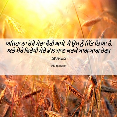 Picture 06 - ਜ਼ਬੂਰ 13:4 PANIRV - ਅਜਿਹਾ ਨਾ ਹੋਵੇ ਮੇਰਾ - Bible Verse Picture