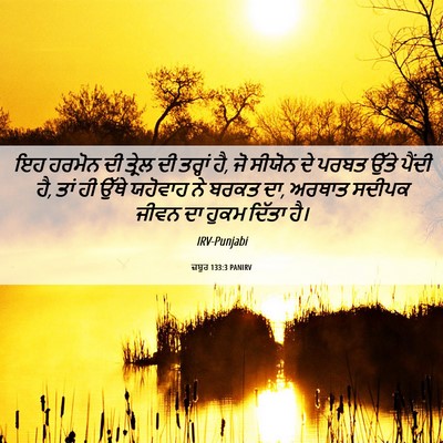 Picture 06 - ਜ਼ਬੂਰ 133:3 PANIRV - ਇਹ ਹਰਮੋਨ ਦੀ ਤ੍ਰੇਲ - Bible Verse Picture