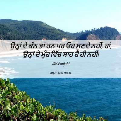 Picture 06 - ਜ਼ਬੂਰ 135:17 PANIRV - ਉਨ੍ਹਾਂ ਦੇ ਕੰਨ ਤਾਂ - Bible Verse Picture