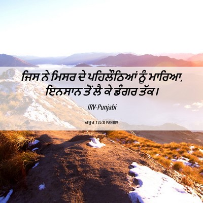 Picture 06 - ਜ਼ਬੂਰ 135:8 PANIRV - ਜਿਸ ਨੇ ਮਿਸਰ ਦੇ - Bible Verse Picture