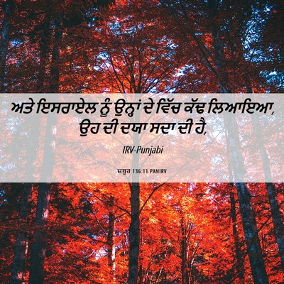 Picture 06 - ਜ਼ਬੂਰ 136:11 PANIRV - ਅਤੇ ਇਸਰਾਏਲ ਨੂੰ - Bible Verse Picture