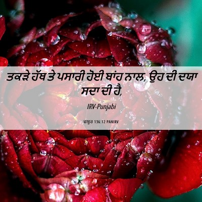 Picture 06 - ਜ਼ਬੂਰ 136:12 PANIRV - ਤਕੜੇ ਹੱਥ ਤੇ ਪਸਾਰੀ - Bible Verse Picture