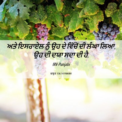 Picture 06 - ਜ਼ਬੂਰ 136:14 PANIRV - ਅਤੇ ਇਸਰਾਏਲ ਨੂੰ ਉਹ - Bible Verse Picture