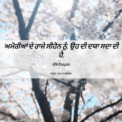 Picture 06 - ਜ਼ਬੂਰ 136:19 PANIRV - ਅਮੋਰੀਆਂ ਦੇ ਰਾਜੇ - Bible Verse Picture