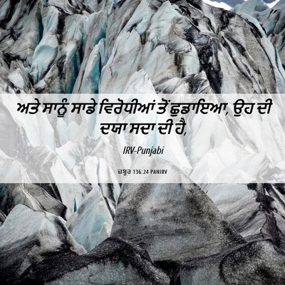 Picture 06 - ਜ਼ਬੂਰ 136:24 PANIRV - ਅਤੇ ਸਾਨੂੰ ਸਾਡੇ - Bible Verse Picture
