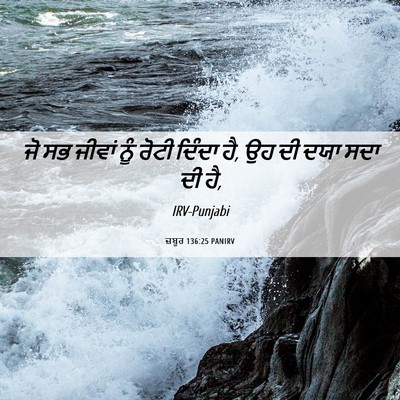 Picture 06 - ਜ਼ਬੂਰ 136:25 PANIRV - ਜੋ ਸਭ ਜੀਵਾਂ ਨੂੰ - Bible Verse Picture