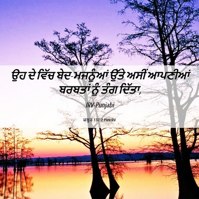 Picture 06 - ਜ਼ਬੂਰ 137:2 PANIRV - ਉਹ ਦੇ ਵਿੱਚ - Bible Verse Picture