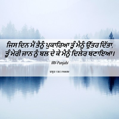 Picture 06 - ਜ਼ਬੂਰ 138:3 PANIRV - ਜਿਸ ਦਿਨ ਮੈਂ ਤੈਨੂੰ - Bible Verse Picture
