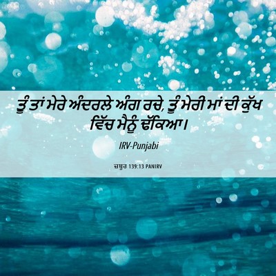 Picture 06 - ਜ਼ਬੂਰ 139:13 PANIRV - ਤੂੰ ਤਾਂ ਮੇਰੇ - Bible Verse Picture