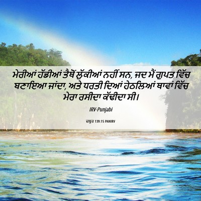 Picture 06 - ਜ਼ਬੂਰ 139:15 PANIRV - ਮੇਰੀਆਂ ਹੱਡੀਆਂ - Bible Verse Picture