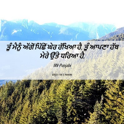 Picture 06 - ਜ਼ਬੂਰ 139:5 PANIRV - ਤੂੰ ਮੈਨੂੰ ਅੱਗੋਂ - Bible Verse Picture