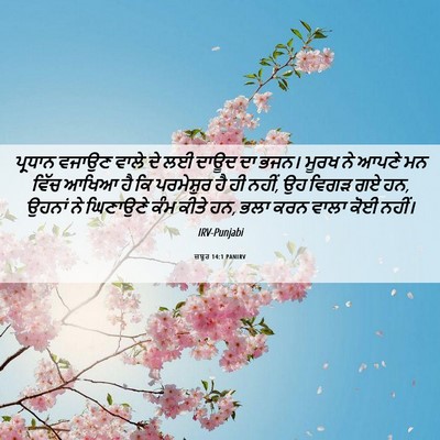 Picture 06 - ਜ਼ਬੂਰ 14:1 PANIRV - ਪ੍ਰਧਾਨ ਵਜਾਉਣ ਵਾਲੇ - Bible Verse Picture