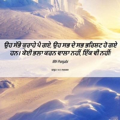 Picture 06 - ਜ਼ਬੂਰ 14:3 PANIRV - ਉਹ ਸੱਭੇ ਕੁਰਾਹੇ ਪੈ - Bible Verse Picture