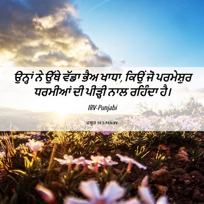 Picture 06 - ਜ਼ਬੂਰ 14:5 PANIRV - ਉਨ੍ਹਾਂ ਨੇ ਉੱਥੇ - Bible Verse Picture