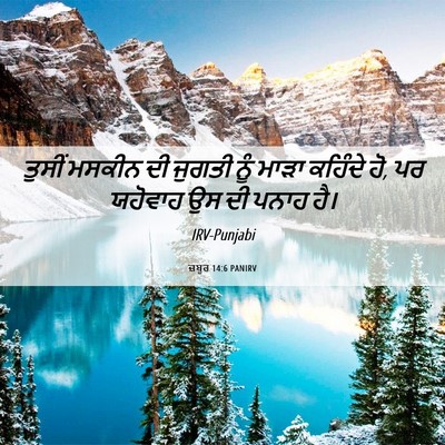 Picture 06 - ਜ਼ਬੂਰ 14:6 PANIRV - ਤੁਸੀਂ ਮਸਕੀਨ ਦੀ - Bible Verse Picture