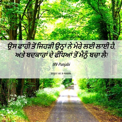Picture 06 - ਜ਼ਬੂਰ 141:9 PANIRV - ਉਸ ਫਾਹੀ ਤੋਂ ਜਿਹੜੀ - Bible Verse Picture