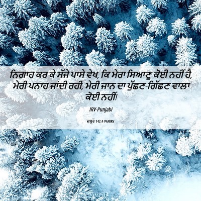 Picture 06 - ਜ਼ਬੂਰ 142:4 PANIRV - ਨਿਗਾਹ ਕਰ ਕੇ ਸੱਜੇ - Bible Verse Picture