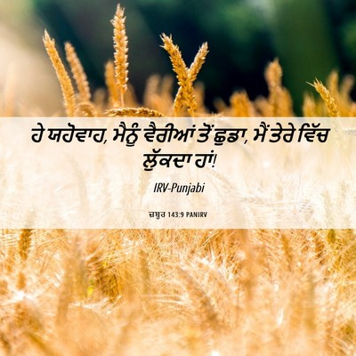 Picture 06 - ਜ਼ਬੂਰ 143:9 PANIRV - ਹੇ ਯਹੋਵਾਹ, ਮੈਨੂੰ - Bible Verse Picture