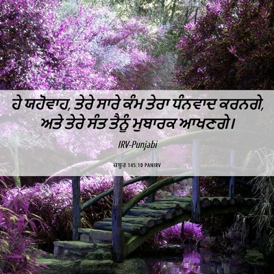 Picture 06 - ਜ਼ਬੂਰ 145:10 PANIRV - ਹੇ ਯਹੋਵਾਹ, ਤੇਰੇ - Bible Verse Picture