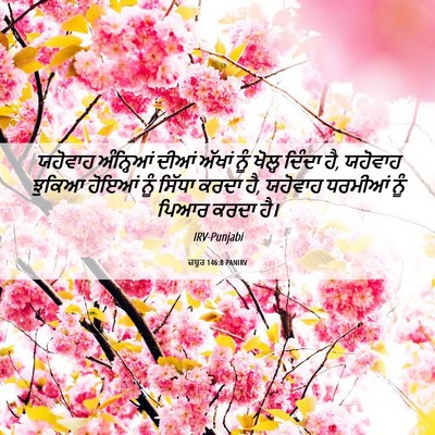 Picture 06 - ਜ਼ਬੂਰ 146:8 PANIRV - ਯਹੋਵਾਹ ਅੰਨ੍ਹਿਆਂ - Bible Verse Picture