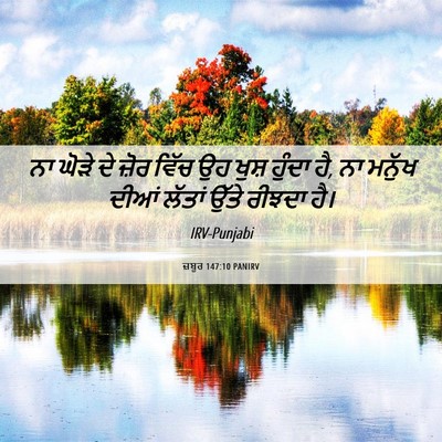 Picture 06 - ਜ਼ਬੂਰ 147:10 PANIRV - ਨਾ ਘੋੜੇ ਦੇ ਜ਼ੋਰ - Bible Verse Picture