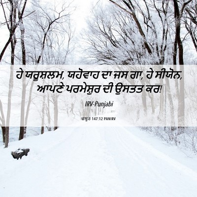 Picture 06 - ਜ਼ਬੂਰ 147:12 PANIRV - ਹੇ ਯਰੂਸ਼ਲਮ, ਯਹੋਵਾਹ - Bible Verse Picture