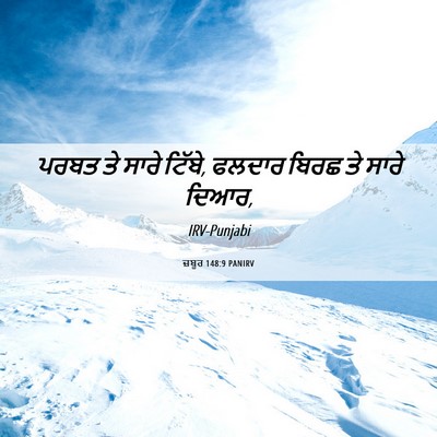 Picture 06 - ਜ਼ਬੂਰ 148:9 PANIRV - ਪਰਬਤ ਤੇ ਸਾਰੇ ਟਿੱਬੇ, - Bible Verse Picture