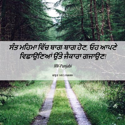 Picture 06 - ਜ਼ਬੂਰ 149:5 PANIRV - ਸੰਤ ਮਹਿਮਾ ਵਿੱਚ - Bible Verse Picture