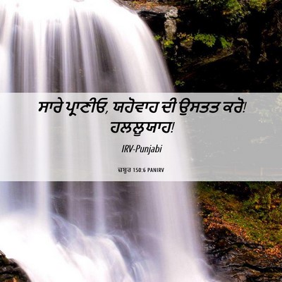 Picture 06 - ਜ਼ਬੂਰ 150:6 PANIRV - ਸਾਰੇ ਪ੍ਰਾਣੀਓ, - Bible Verse Picture