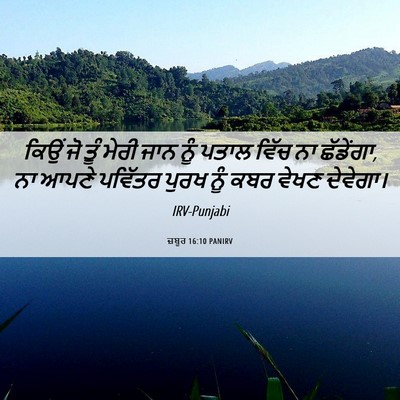 Picture 06 - ਜ਼ਬੂਰ 16:10 PANIRV - ਕਿਉਂ ਜੋ ਤੂੰ ਮੇਰੀ - Bible Verse Picture